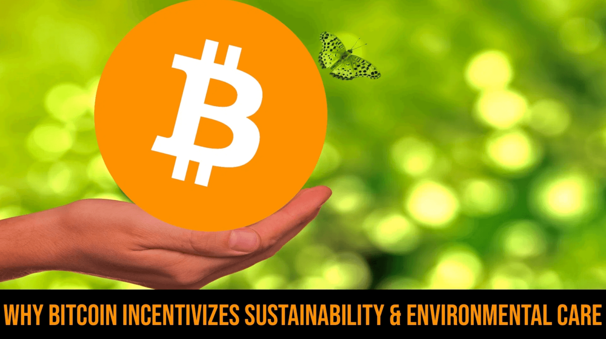 Warum Bitcoin Nachhaltigkeit und Umweltschutz unterstützt